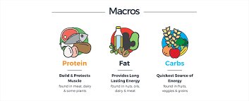 The Power of Balanced Nutrition:  Harmony in Every Bite!